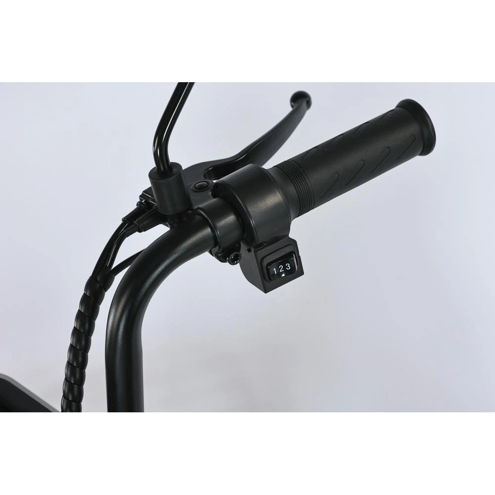 Электровелосипед SmartBalance Fiesta Pro 10